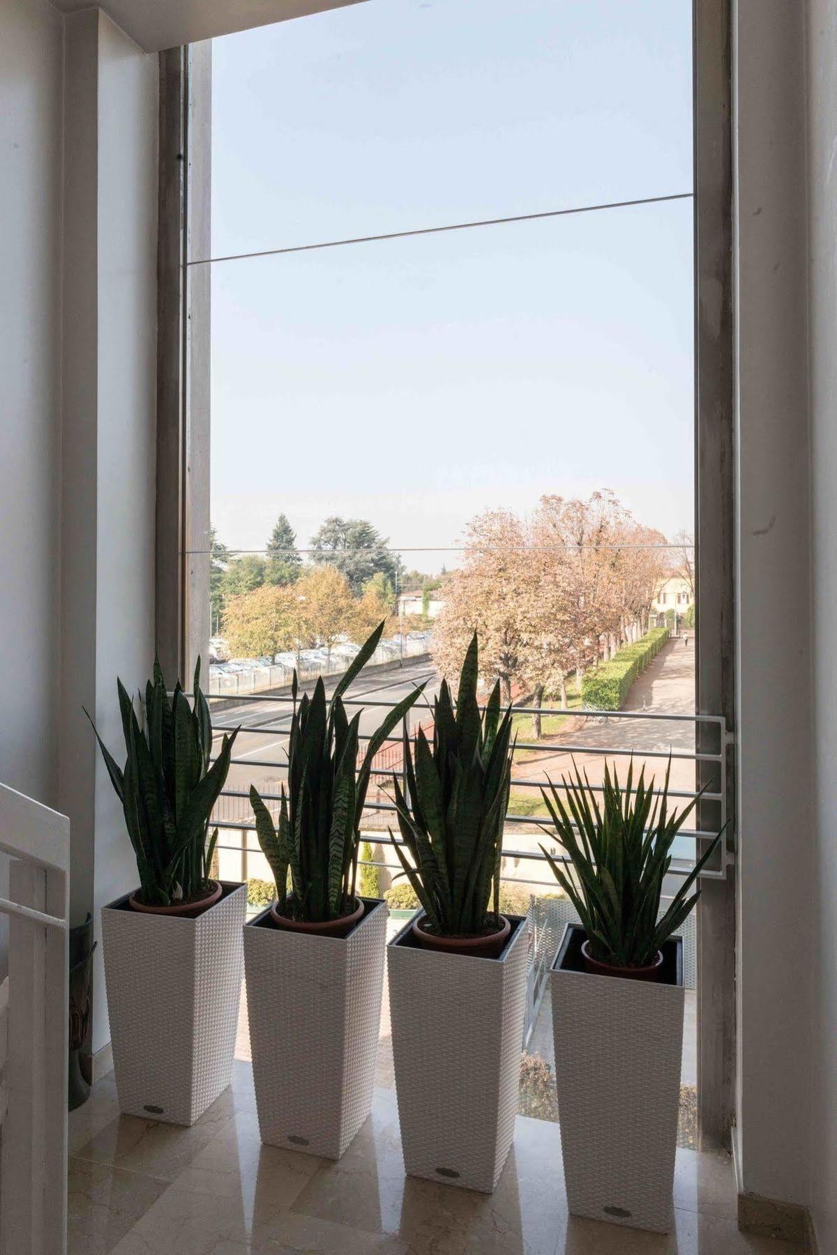 Berghotel Hotel 3*